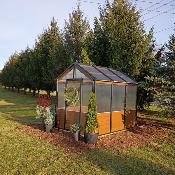 IMG_20251124_145232667